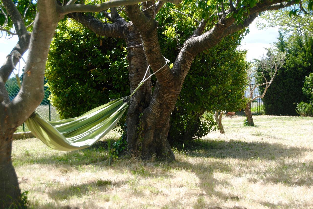 Le Mas Marguerite Arlés Exterior foto