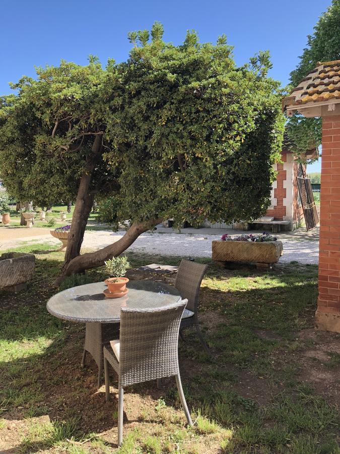 Le Mas Marguerite Arlés Exterior foto